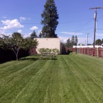 Back Yard 8-27-23 #1