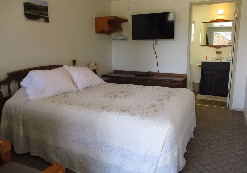 Pet Friendly motel Room #5